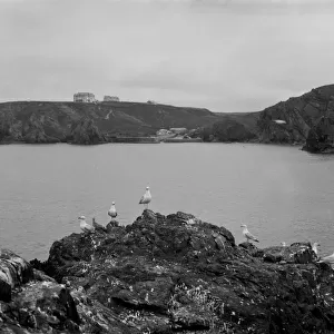 Mullion Cove (Porth Mellin), from the Island, Mullion, Cornwall. 10th June 1908