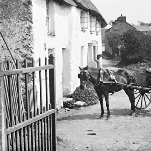 The Old Albion Inn, Crantock, Cornwall. Early 1900s