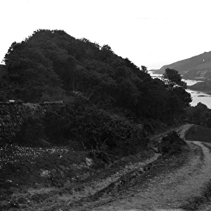 Polridmouth Bay and Gribbin Head with Daymark Tower, Tywardreath, Cornwall. 1904