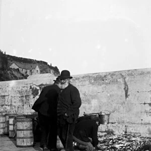 Possibly Mevagissey, Cornwall. Early 1900s
