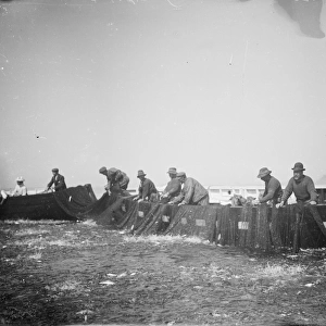 Seine fishing, Sennen Cove, Cornwall. 31st August 1906