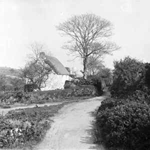 Thatched Cornish cottage near Hugus, Kea, Cornwall. Early 1900s