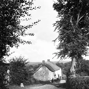 Thatched cottage on Blackydown Lane, Idless, Cornwall. Early 1900s