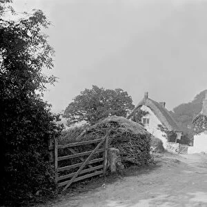 Thatched cottages, Durgan, Mawnan, Cornwall. Date unknown but probably early 1900s
