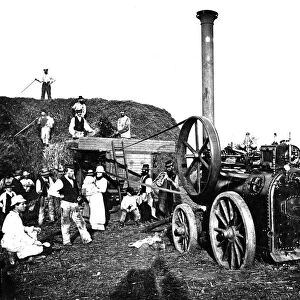 Threshing in Cornwall. Around 1880s or 1890s
