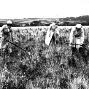 First World War