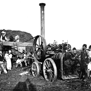 : Agriculture