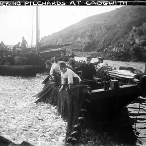 Place Prints: Cadgwith