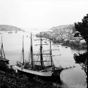 TRURI-FOWhs-1