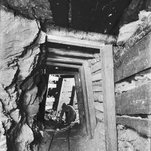 TRURI-MIeli-6