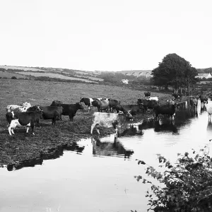 Railway Prints: Chacewater