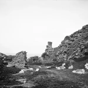 TRURI-TINca-3