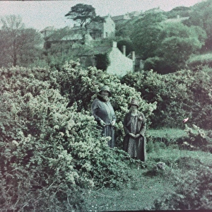 Unknown location in Cornwall. Around 1925