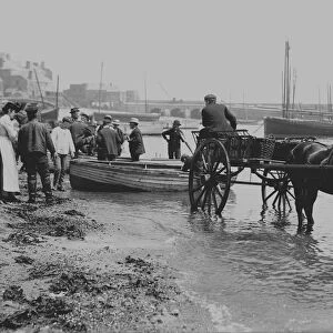 Unloading fish in St Ives harbour, Cornwall. 1903