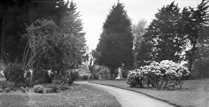 Images Dated 11th December 2017: Boscawen Park, Truro, Cornwall. Early 1900s