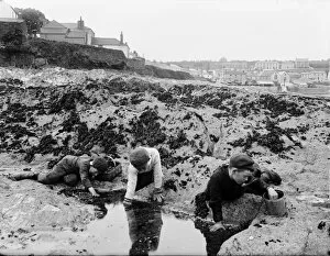 Images Dated 13th February 2017: Boys at a rock pool, Cornwall. 1901