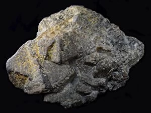 Minerals Collection: Cassiterite, Ulu Johan, Ipoh, Kinta district, Southern Perak, Malaysia