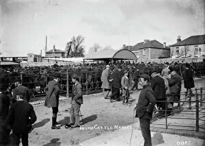 Images Dated 18th July 2016: Cattle Market, Truro, Cornwall. About 1910