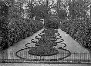 Images Dated 14th May 2019: The chain gardens at Carclew House, Mylor, Cornwall. 15th March 1912