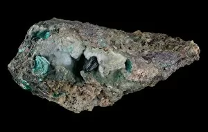 Minerals Collection: Chalcophyllite, Wheal Gorland, St Day, Gwennap, Cornwall, England