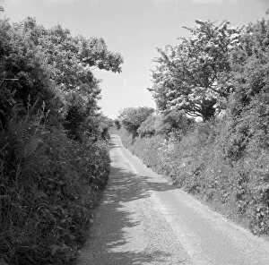 Images Dated 19th February 2018: Country lane near Relubbus, St Hilary, Cornwall. 1969