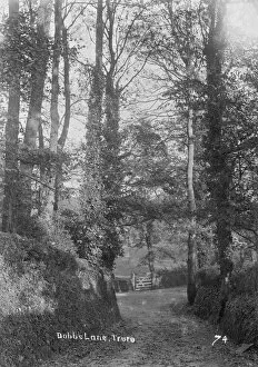 Images Dated 8th June 2019: Dobbs Lane, Truro, Cornwall. Early 1900s