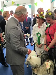 Charles Prints: The Duke of Cornwall attends afternoon tea at the Royal Cornwall Show