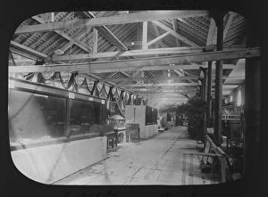 Images Dated 2nd April 2019: Exhibition tanks, Cornwall County Fisheries Exhibition, Truro, Cornwall. July to August 1893