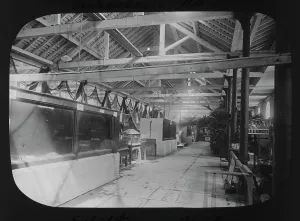 Victorian Prints: Exhibition tanks, Cornwall County Fisheries Exhibition