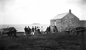 Agriculture Collection: Farm workers, St Merryn, Cornwall. Early 1900s