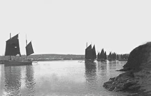 Lelant Collection: Fishing fleet in the Hayle Estuary, Lelant, Cornwall. Early 1900s