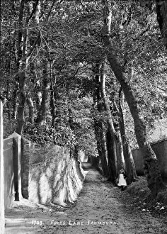 Images Dated 30th January 2016: Foxs Lane, Falmouth, Cornwall. Early 1900s