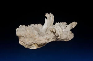 Minerals Collection: Gypsum, Cumberland Mine, Matlock Bath, Derbyshire, England