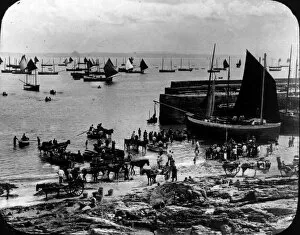 Images Dated 28th June 2016: The Harbour, Newlyn, Cornwall. 1880