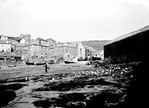 Port Isaac Collection: Harbour, Port Isaac, Cornwall. June 1906
