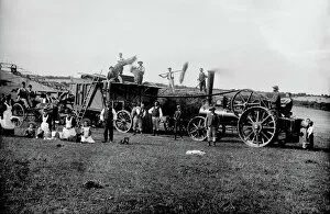Agriculture Collection: Harvesting at Trewhella Farm, St Hilary, Cornwall. Around 1900-1910