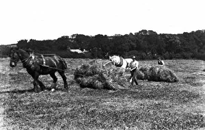 Agriculture Collection: Haymaking, Cornwall. May-June 1916