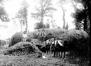 Images Dated 5th September 2016: Haymaking near St Buryan, Cornwall. Late 1800s