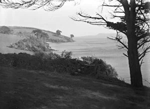 Images Dated 22nd January 2019: The Helford River from a footpath near Durgan, Mawnan, Cornwall. Early 1900s
