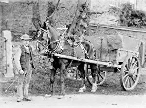 Transport Collection: A horse and cart in Truro, Cornwall. Early 1900s