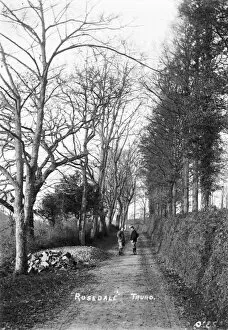 Idless Collection: Idless Lane, Rosedale, near Idless, Cornwall. Early 1900s