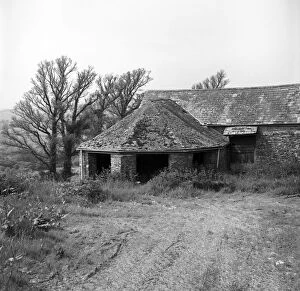 Images Dated 18th October 2018: Lawhippet farm, Lanteglos by Fowey, Cornwall. 1979