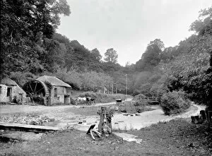 Images Dated 12th March 2018: Lawrys Mill, Carnanton Woods, St Mawgan in Pydar, Cornwall. 1900