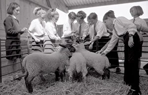 Images Dated 23rd July 2018: Livestock Unit, Fowey Community School, Fowey, Cornwall. July 1990