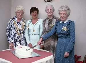 Images Dated 16th January 2018: Lostwithiel Womens Institute 60th anniversary, Lostwithiel, Cornwall. May 1984