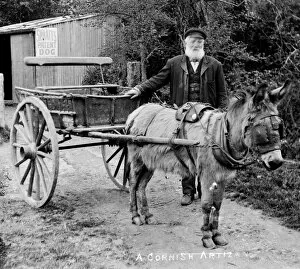 Images Dated 9th August 2016: Man with donkey cart, Truro, Cornwall. Around 1900