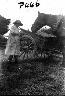 Women's Land Army Collection: Member of First World War Womens Land Army, Tregavethan Farm, Truro, Cornwall. 1917