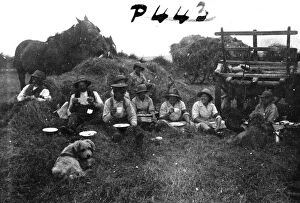 Images Dated 24th April 2017: Members of the First World War Womens Land Army and farm hands. Tregavethan Farm, Truro, Cornwall