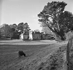 Morval Collection: Morval House, Morval, near Looe, Cornwall. 1961