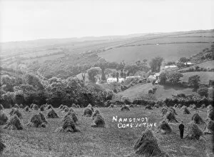 Images Dated 22nd November 2016: Nancemoy, Constantine, Cornwall. Early 1900s